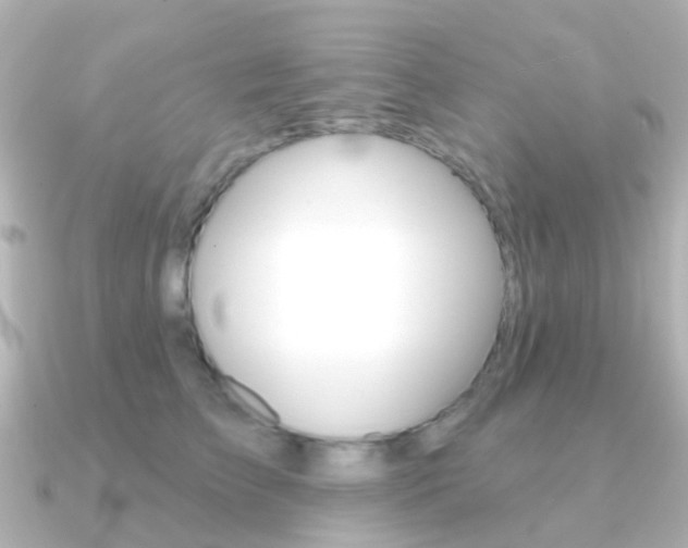 X0000091330709200708101002