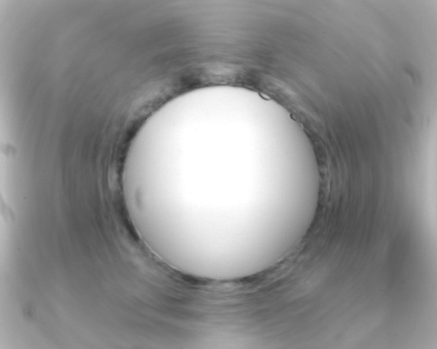 X0000091330711200708101002