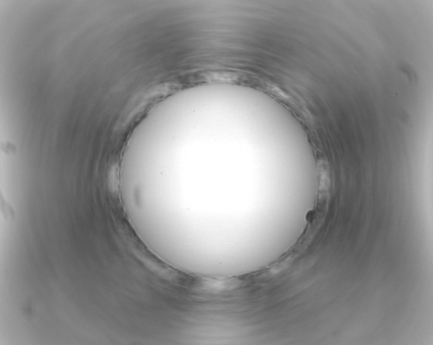 X0000091330713200708101002