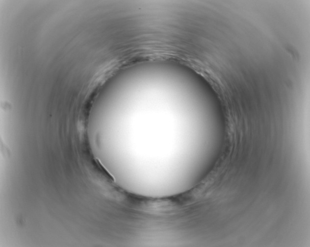 X0000091330716200708101001