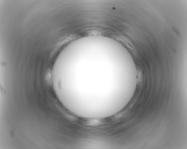 X0000091330717200708101001