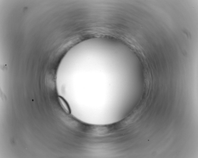 X0000091330719200708101001