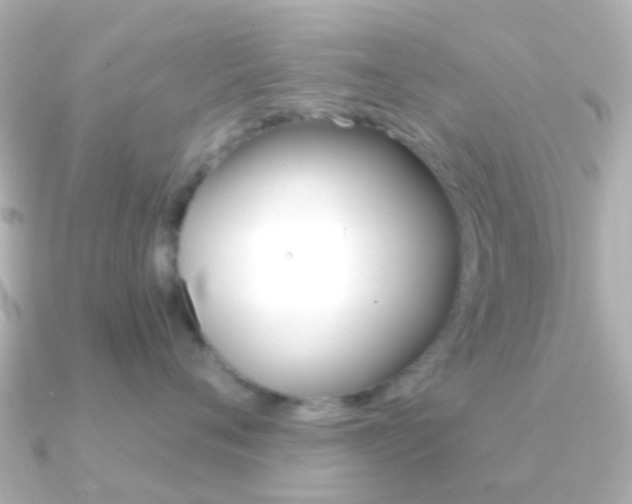 X0000091330720200708101001
