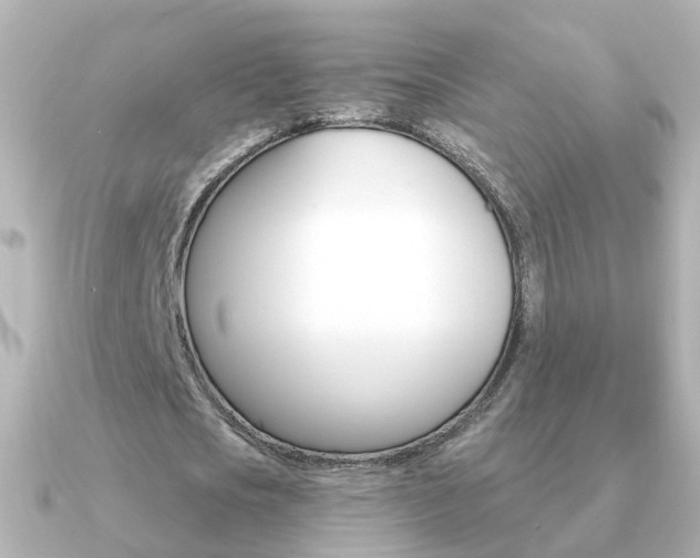 X0000091330721200708101001
