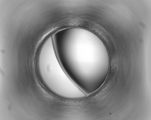X0000091330722200708101001