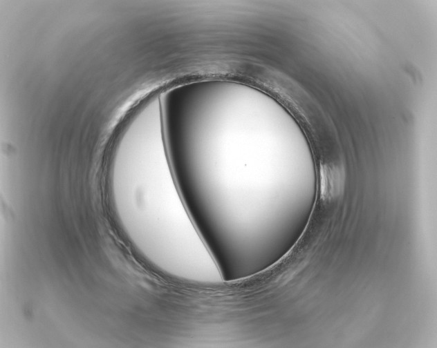 X0000091330723200708101001
