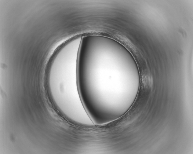 X0000091330724200708101001