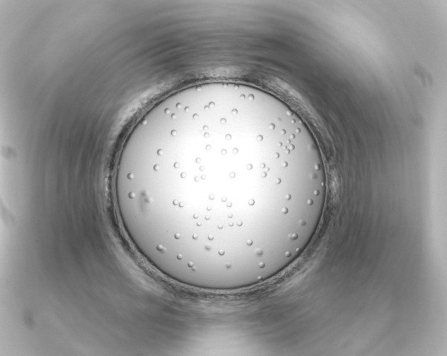 X0000091330725200708101001