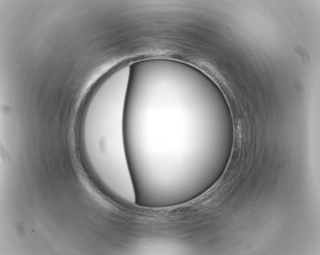 X0000091330726200708101001