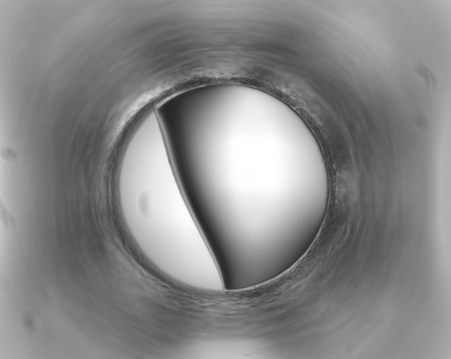 X0000091330727200708101001