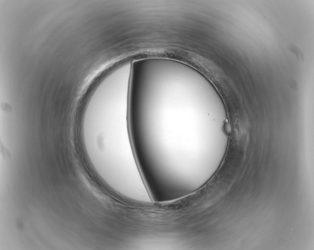 X0000091330728200708101001