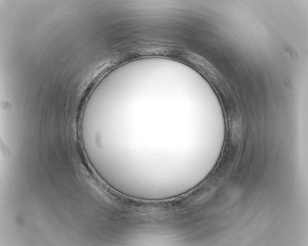 X0000091330729200708101001