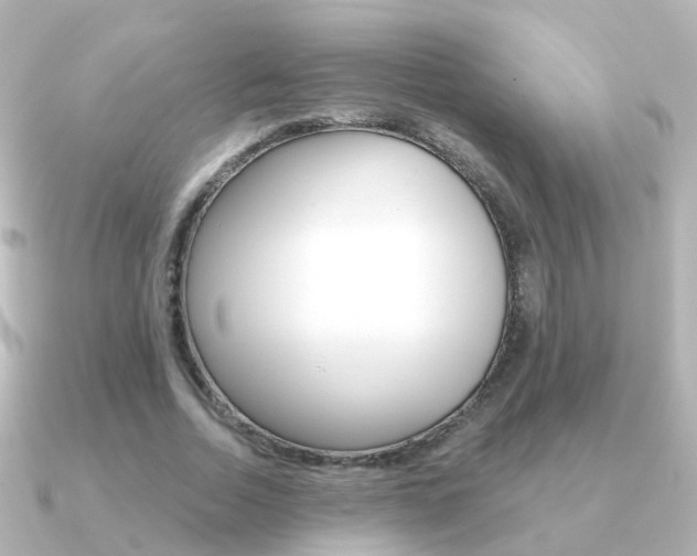X0000091330730200708101001