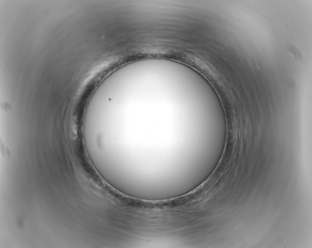 X0000091330731200708101001
