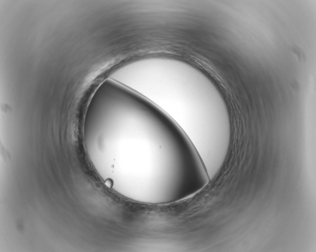 X0000091330732200708101001