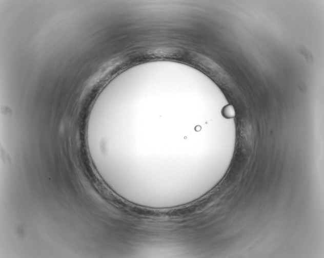 X0000091330734200708101001