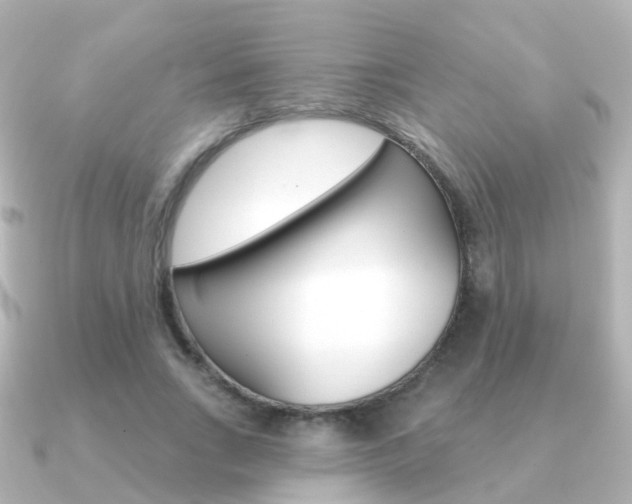 X0000091330735200708101001
