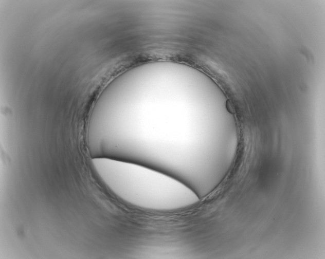 X0000091330737200708101001