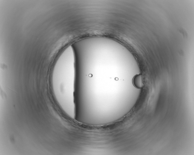 X0000091330738200708101001