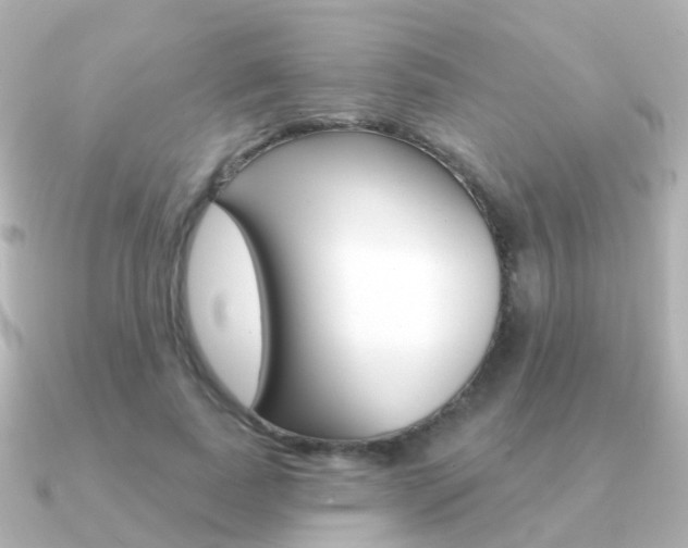 X0000091330739200708101001