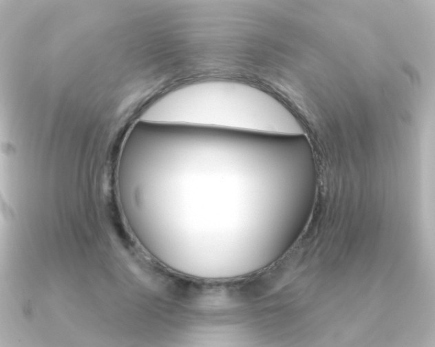 X0000091330740200708101001