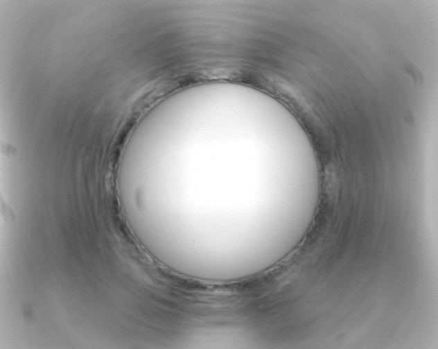 X0000091330741200708101001