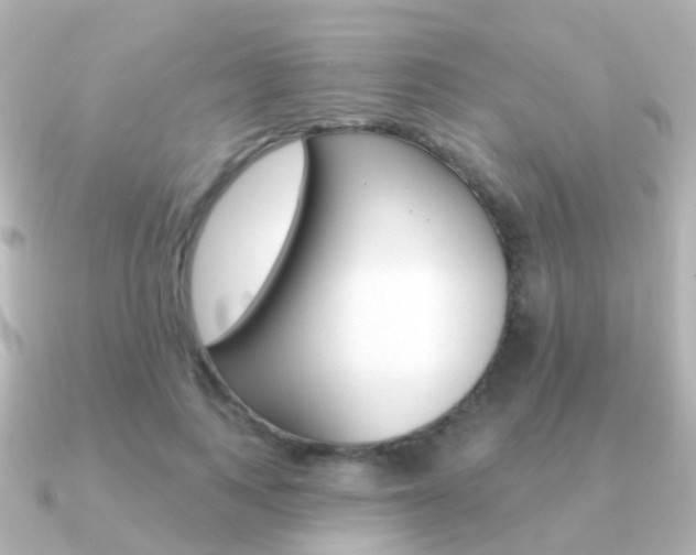 X0000091330743200708101001