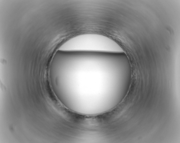 X0000091330744200708101001