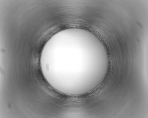 X0000091330745200708101001