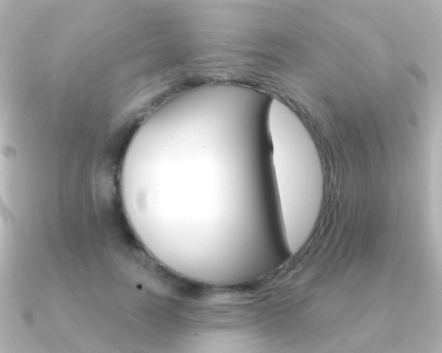 X0000091330746200708101001