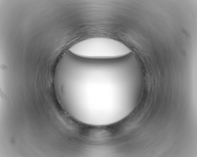 X0000091330747200708101001