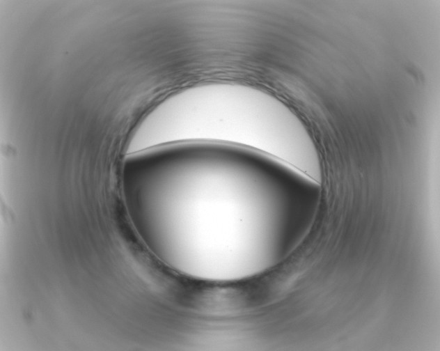 X0000091330748200708101001