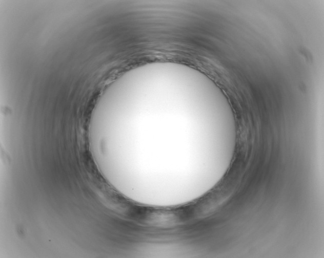 X0000091330749200708101001