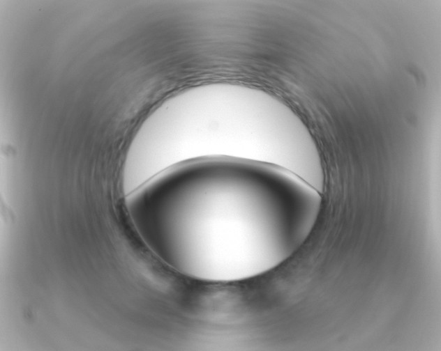 X0000091330750200708101001