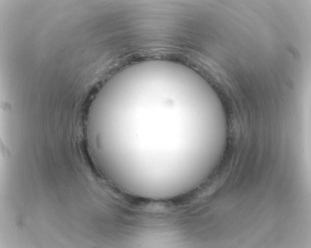 X0000091330751200708101001