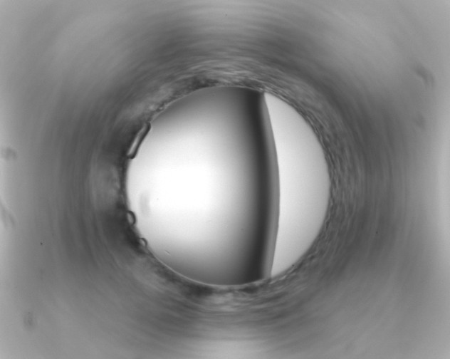 X0000091330752200708101001