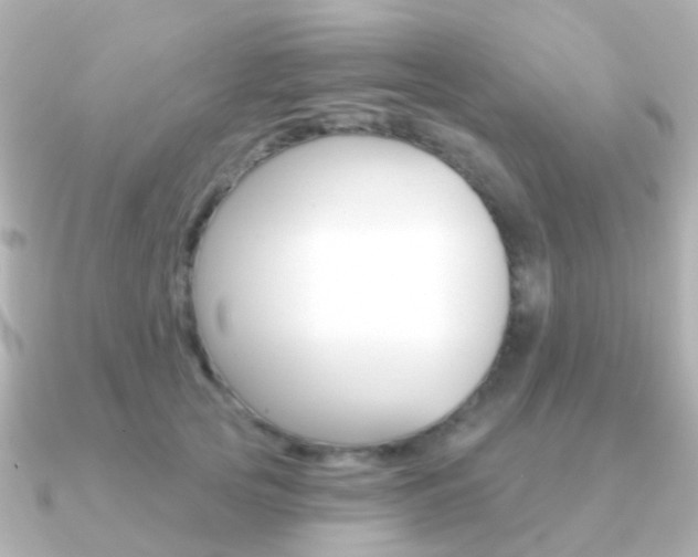 X0000091330753200708101001