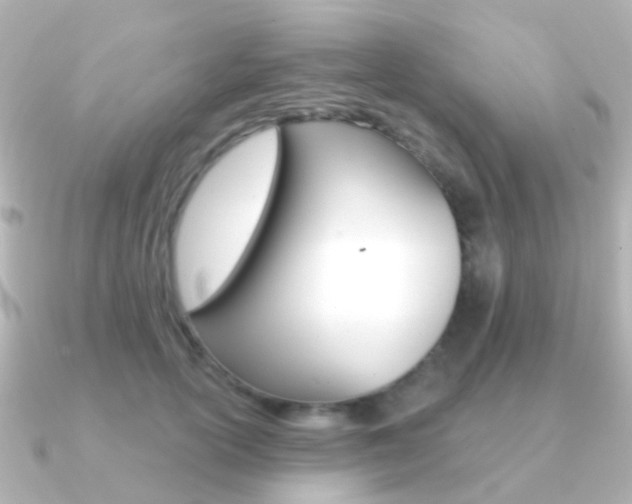 X0000091330754200708101001