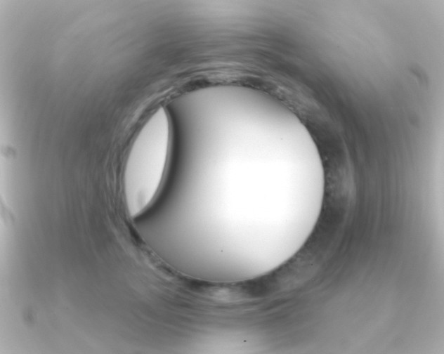 X0000091330755200708101001
