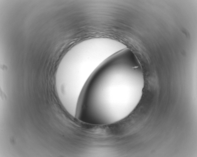 X0000091330756200708101001