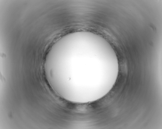 X0000091330757200708101001