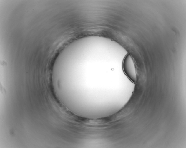 X0000091330758200708101001