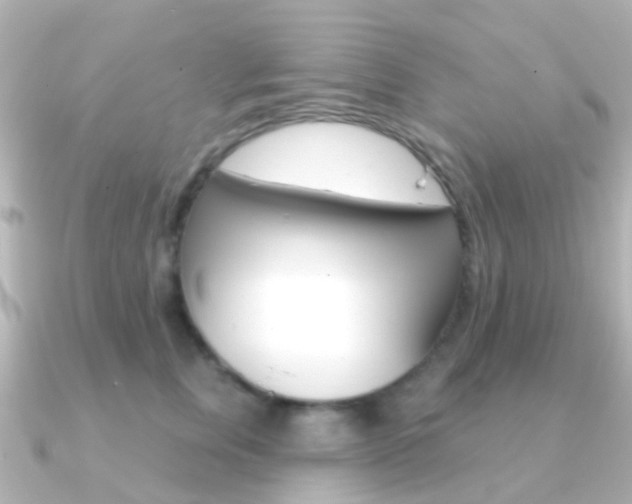 X0000091330759200708101001