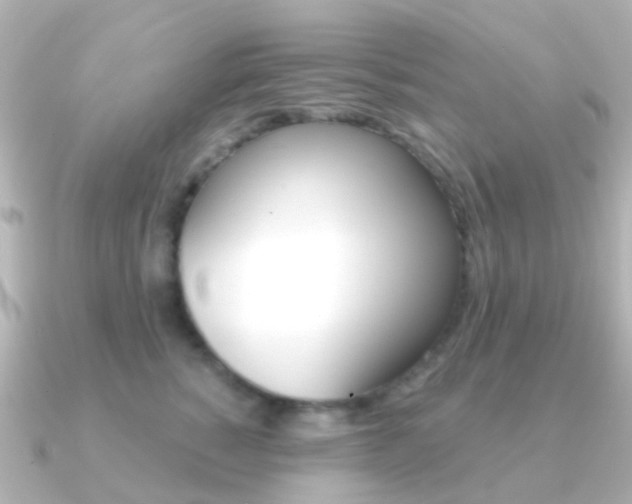 X0000091330760200708101001