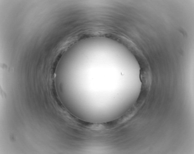 X0000091330762200708101001