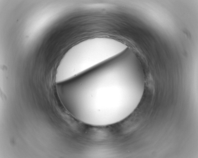 X0000091330763200708101001