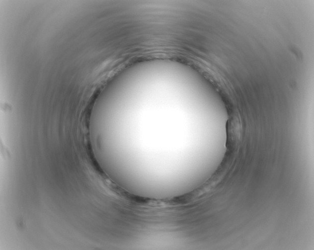 X0000091330764200708101001