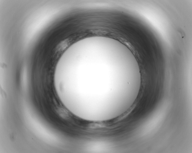X0000091330765200708101001