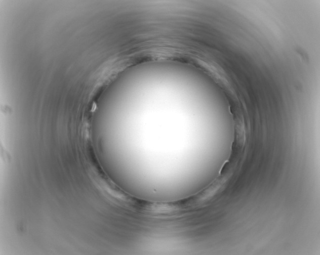 X0000091330766200708101001