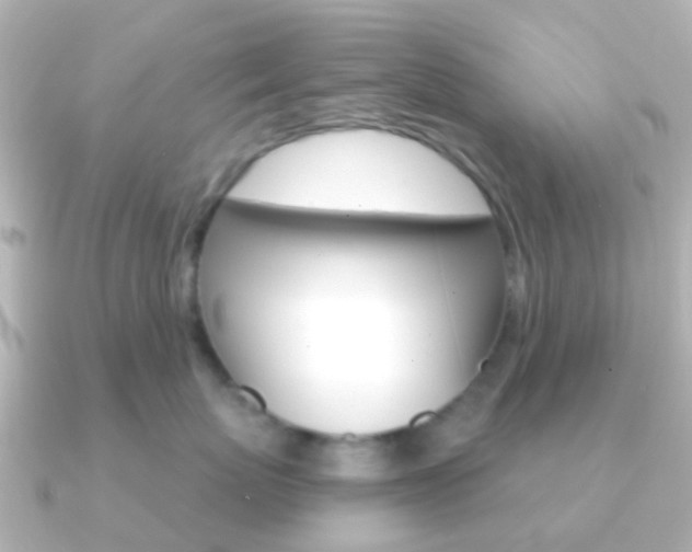 X0000091330767200708101001